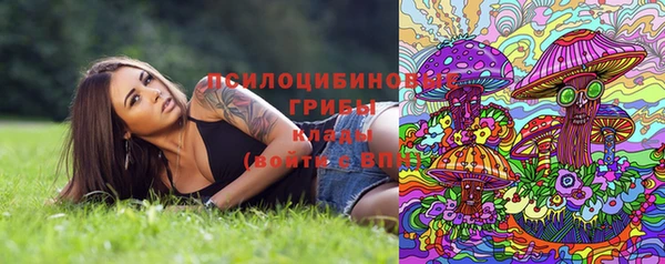 хмурый Бронницы