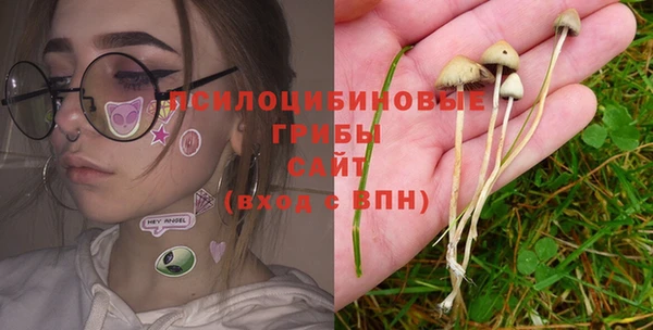 хмурый Бронницы