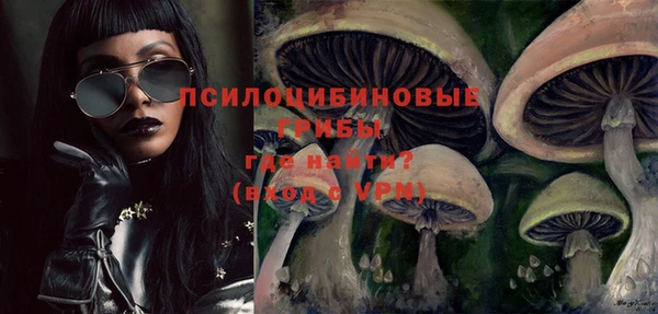 хмурый Бронницы