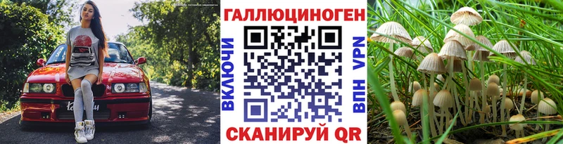 Псилоцибиновые грибы Psilocybe  Тара 