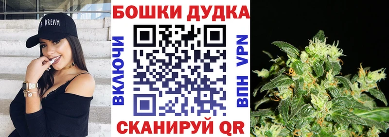 закладки  Тара  МЕГА как войти  Канабис Amnesia 